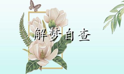 梦见乌龟财运怎么样了好不好 梦见乌龟是吉是凶