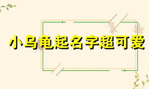 小乌龟起名字超可爱 小乌龟起名字霸气点