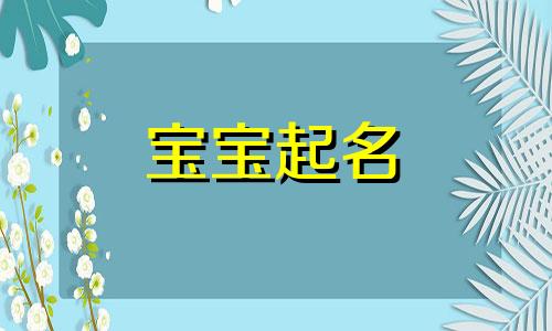 姓靳的女孩名字洋气,两个字 男孩姓靳取什么名好听