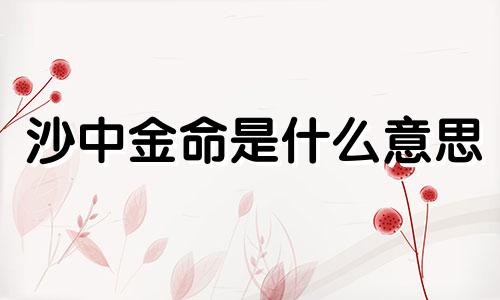 沙中金命是什么意思 沙中金命适合做什么行业