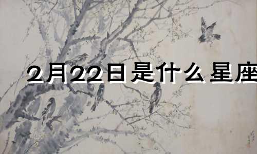 2月22日是什么星座 阳历2月23日出生的人什么命