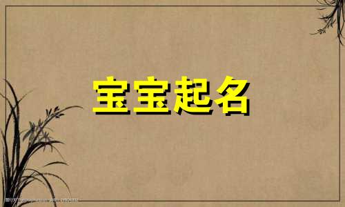 2023年正月十五出生的宝宝名字 兔宝宝高分名字赏析