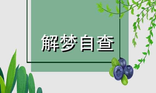 梦见要塞是什么意思