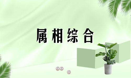 12岁属什么生肖2023 今年12岁属什么生肖 今年虚岁12岁属什么生肖