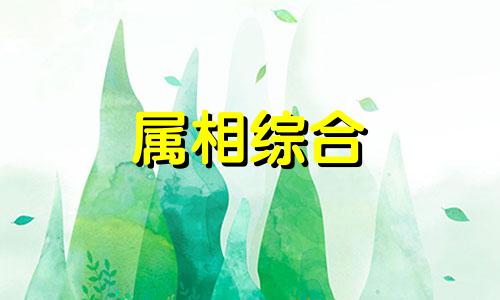 33属什么的33岁属啥的 33属什么生肖 今年2023多大 33属什么的生肖的