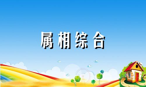 蝴蝶是指什么生肖答案 蝴蝶是指什么生肖的动物 蝴蝶是指什么生肖呢?