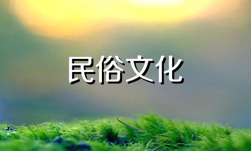 家里为什么不能养茶花风水 家里为什么不能养茶花,寓意对家人和自己不好(凶兆)... 家里为什么不能养茶花,茶花的寓意是什么