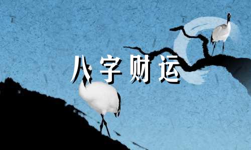 已巳日柱在2023癸卯年运势 2023年已巳日柱命运怎么样