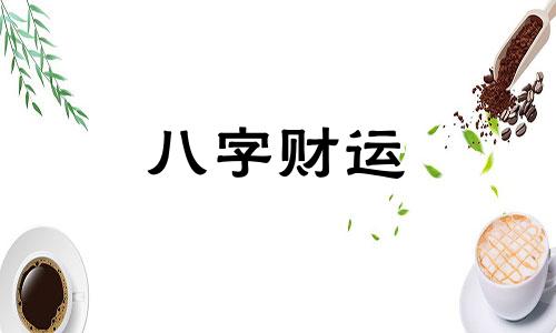 易经入门基础知识 易经入门要先学什么