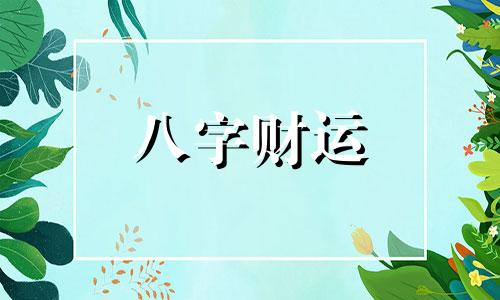 辛己日柱2023年癸卯年运势 辛己日柱走什么大运好