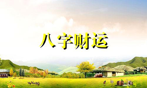 丙子日柱2023年壬寅年运势 2023年丙子日柱命运怎么样