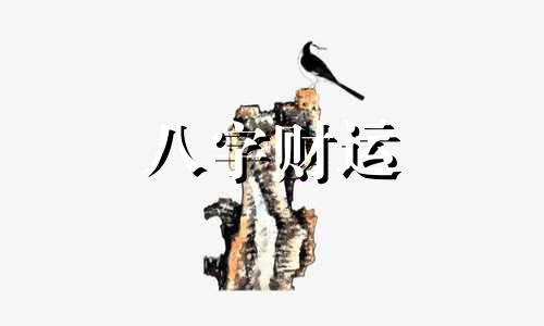 如何从八字看事业运 八字怎么看事业运