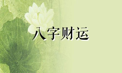 癸亥年纳音 癸亥年出生的人命运如何