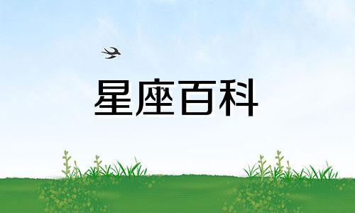 2023年下半年双子座感情运势 2023年双子座爱情劫难