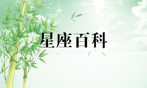 属兔水瓶座2023年运势详解 属兔水瓶座运势2023年每月运势详解