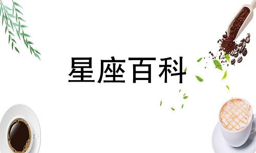 属兔摩羯座2023年运势详解 属兔摩羯座运势2023年每月运势详解