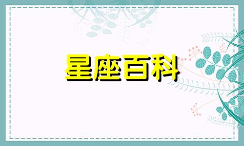 射手座2023年12月运势详解完整版 射手座2023年感情运势