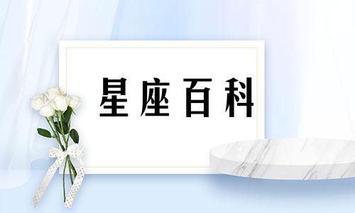 射手座2023年2月份运势查询 射手座2023年2月份运势及运程