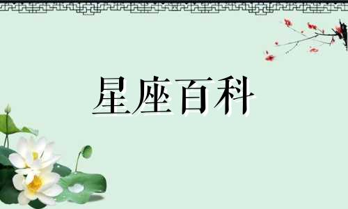 5月29日是什么星座