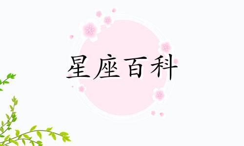 11月4日是什么星座