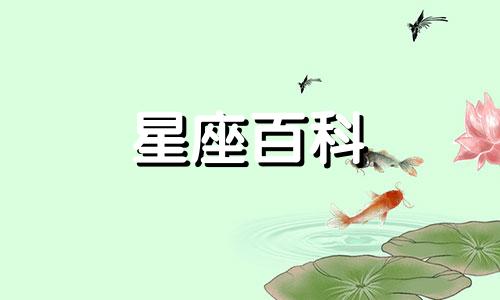 金牛座流星雨