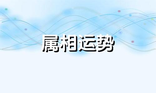 1983年属猪的是什么命 1983猪年出生的人的命运