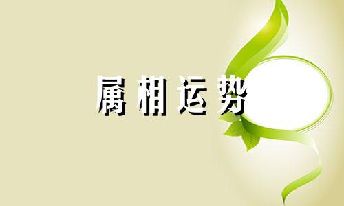 1981年属鸡人今年运势 1981年属鸡的人2023年运势及运程