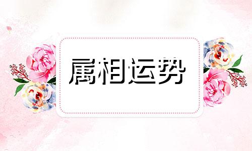 1992年今年多大了 1992年出生的人生肖属相是什么