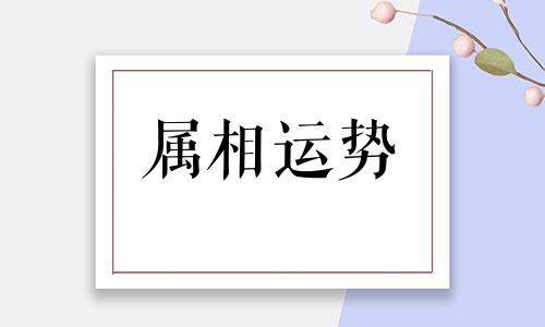 十二生肖五行有什么关系 属相和五行对照表