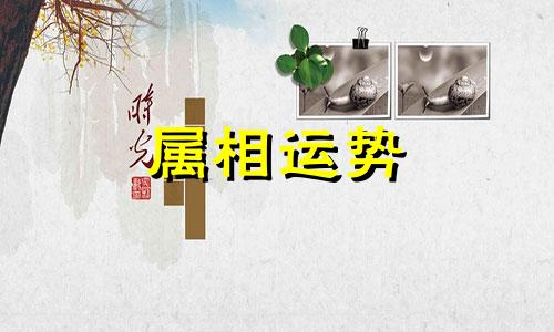 属马的和属龙的婚姻怎么样相配吗 属相马和龙属相合不合