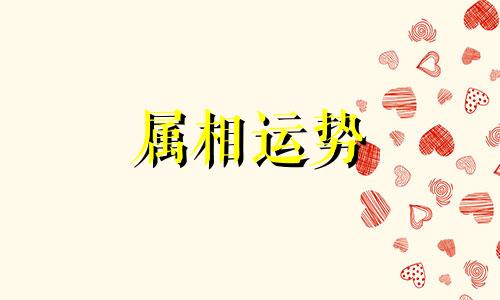 十二生肖性格分析 12生肖个性与特征解析