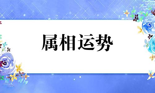 属马和属鸡相冲吗 男属马和属鸡女做夫妻好吗