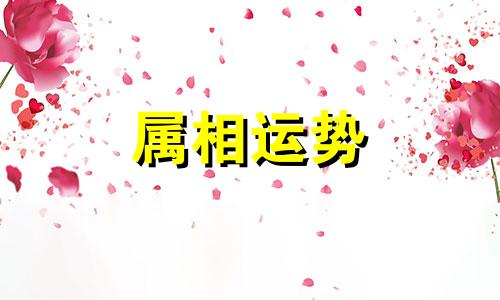 99年属什么 99年属什么多大了2023