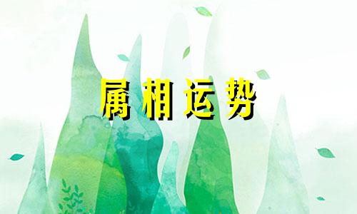 2023年属什么生肖 2023年属什么生肖属相什么命