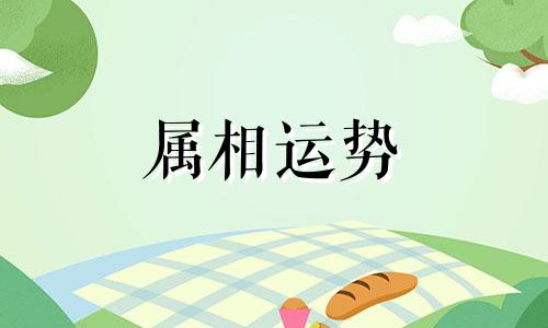 生肖顺序图 十二生肖顺序图