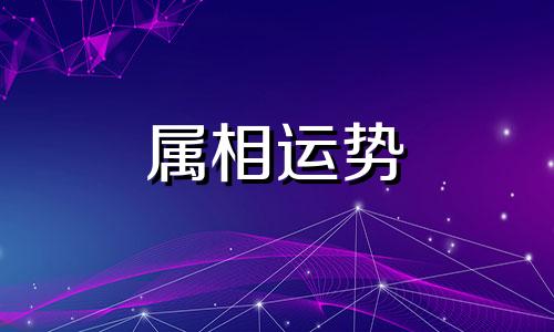 小肖是哪几个生肖 小肖是哪几个生肖2023