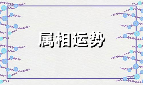 33岁属什么生肖 33岁属什么生肖2023年多大