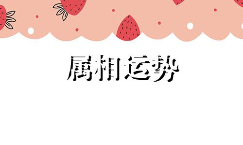 97岁属什么生肖 97岁属什么生肖2023年多大