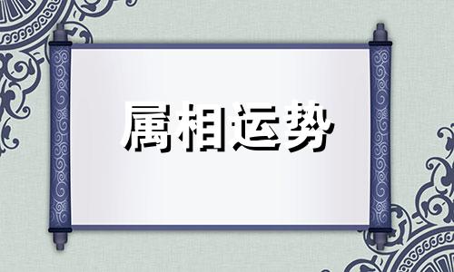 78岁属什么生肖什么命 2023年78岁属什么生肖