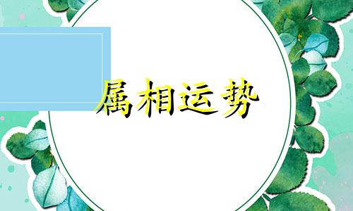 今年是什么年2023 今年是什么年2023年属相