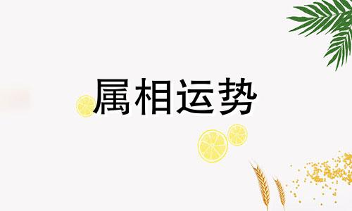 为什么都说属兔的人命不好 为什么都说属兔的人命不好呀