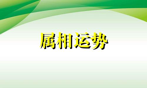 今年31岁属什么生肖 31岁属什么生肖2023年多大