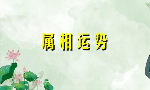 今年6岁属什么生肖 6岁属什么生肖2023年多大