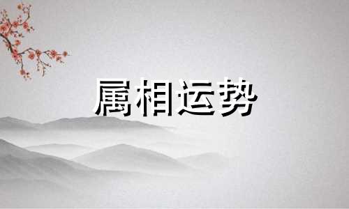 今年5岁属什么生肖 5岁属什么生肖2023年多大