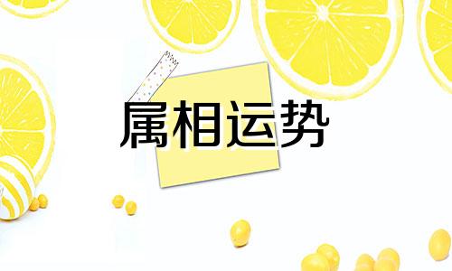 今年47岁属什么生肖 47岁属什么生肖2023年多大