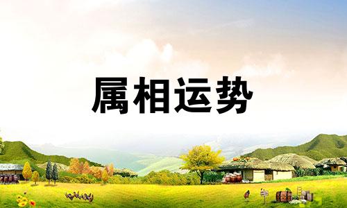 今年94岁属什么生肖 94岁属什么生肖2023年多大