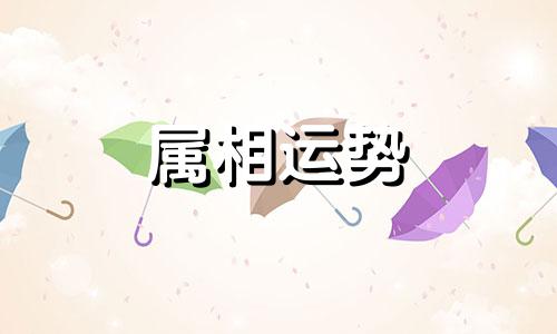 一事无成打一生肖是什么 一事无成打一生肖为什么是马