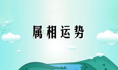 51岁属什么生肖 51岁属什么生肖2023年多大