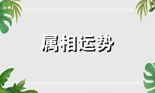 95年属什么的是什么命 95年属什么的多大年纪