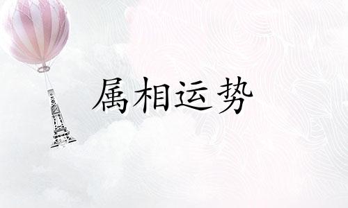 一厢情愿打一生肖 一厢情愿打一生肖什么动物